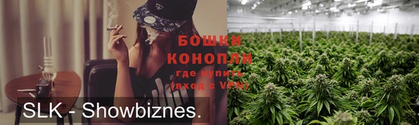 твердый Гатчина