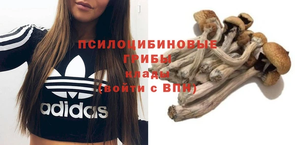 кокаин Новодвинск