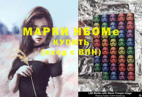 ешки Новозыбков