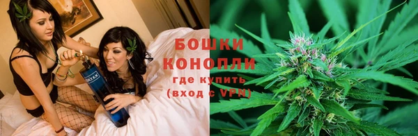 твердый Гатчина