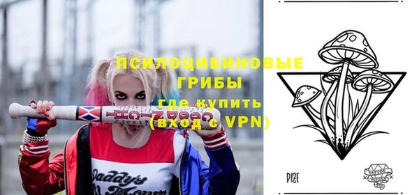 ешки Новозыбков