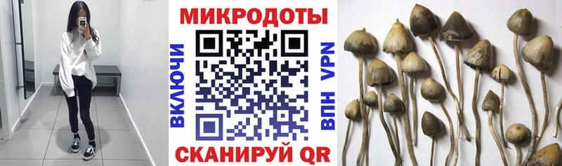 ссылка на мегу зеркало  Слободской  Галлюциногенные грибы Magic Shrooms 