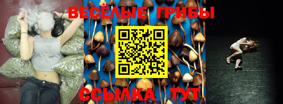 Слободской  Галлюциногенные грибы ЛСД  Вход с VPN 