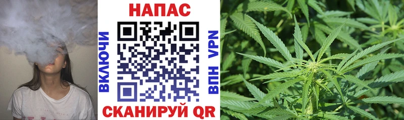 маркетплейс как зайти  Слободской  Бошки Шишки сатива 
